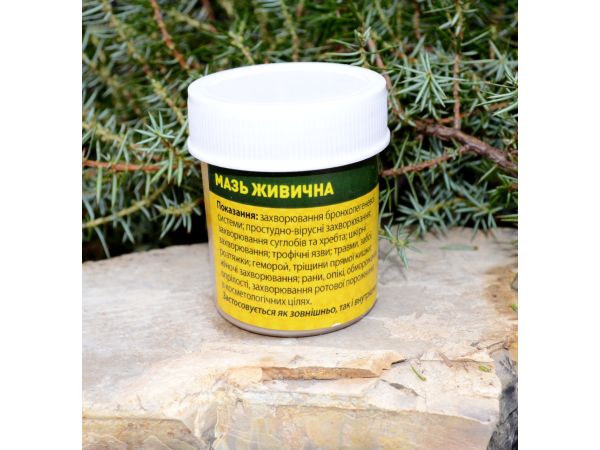 Мазь живичная, 40 г