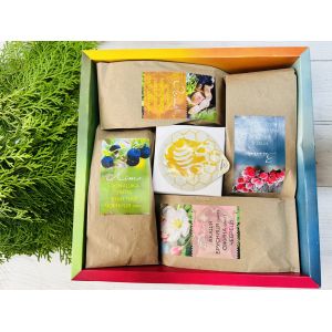 Набір 4 СЕЗОНИ карпатський чай