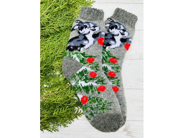 Шкарпетки дитячі 18-20 см 6-8 років зайчик