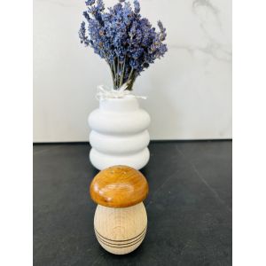 Сільничка "грибочок"